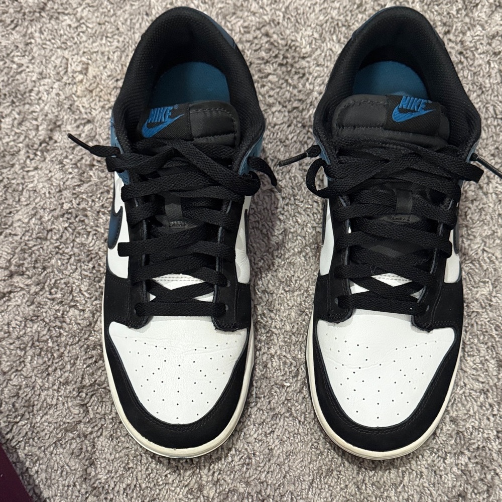 Nike Dunk Low Retro NAS